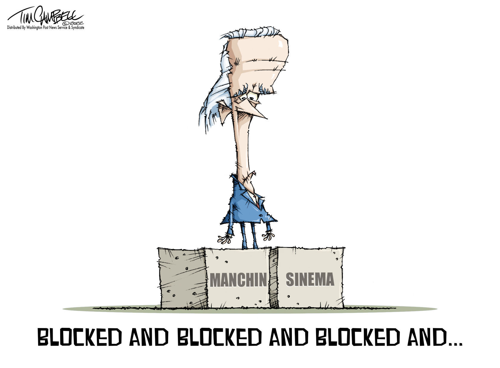 Tim Campbell cartoon